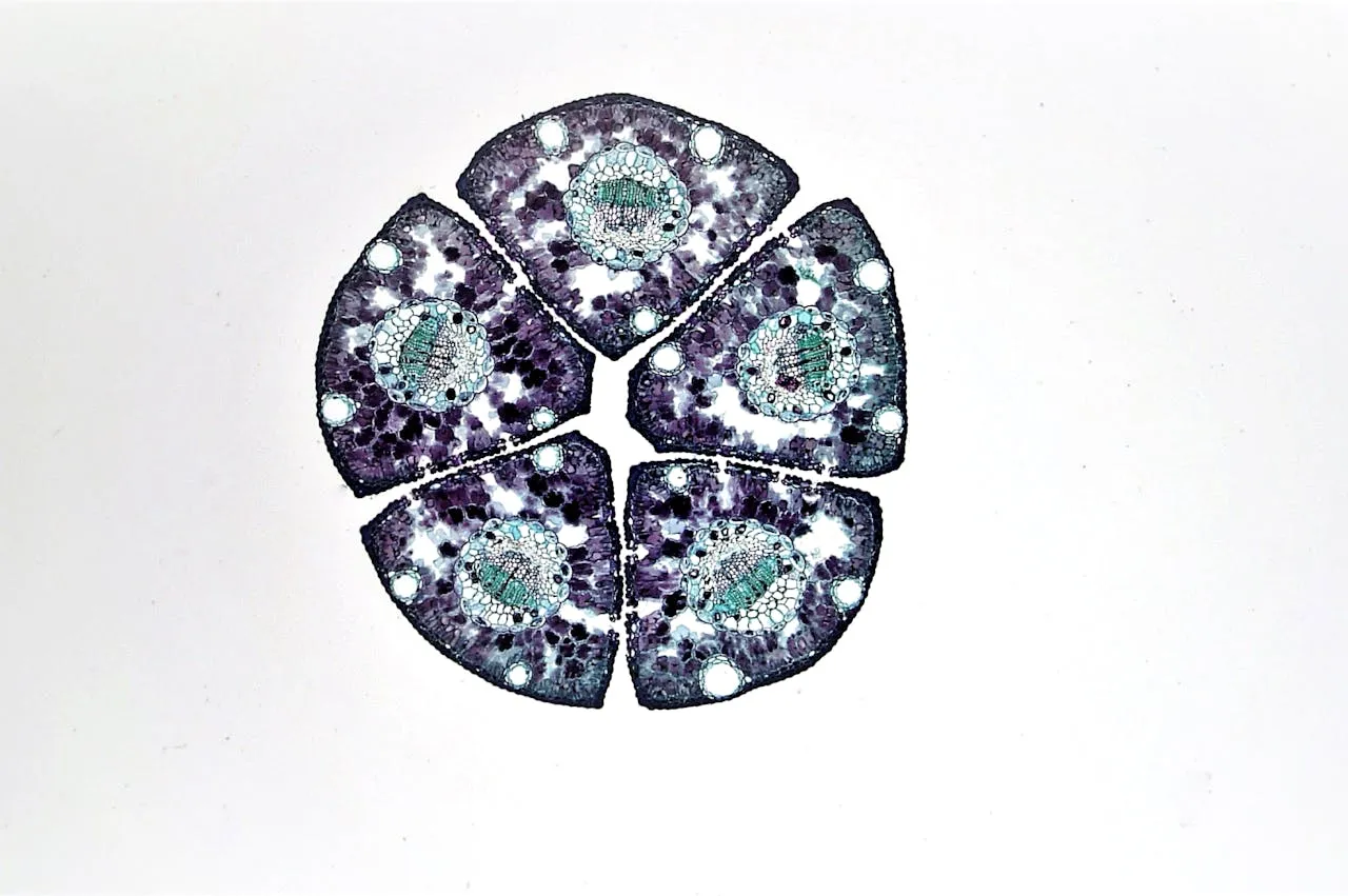 Exicure Completes Final Patient Visit in Phase 2 Study of GPC-100 for Stem Cell Mobilization in Multiple Myeloma