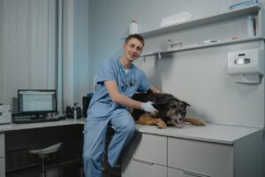 Veterinary