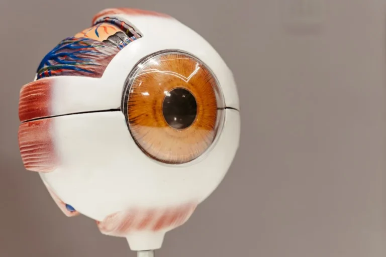 Eyebot